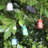 Element Ornament